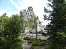 HOTTUR - Borowice